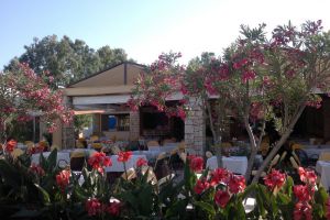 Three Stars Hotel