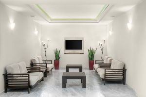 Creta Palm