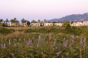 Grecotel Casa Paradiso