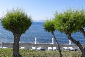 Dimitra Beach Resort