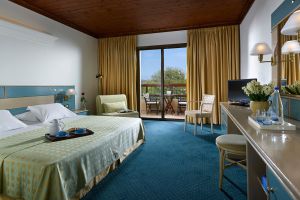 Garden View room