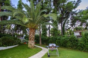 Villas Muses