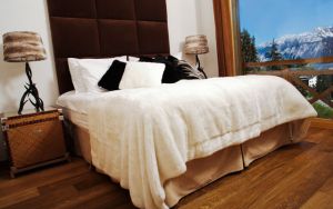 Chalet Renee
