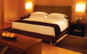 PARK HYATT - PALACE DUHAU 