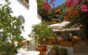 Canasta Hotel